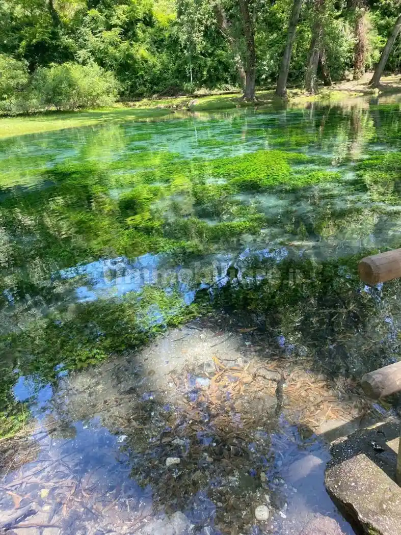 Palazzo - Edificio - foto 2