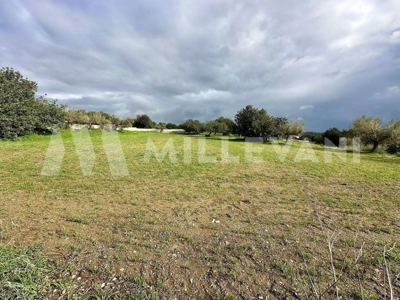 Villa unifamiliare Contrada Scorione Santa Rosalia, Zappulla, Modica - foto 4