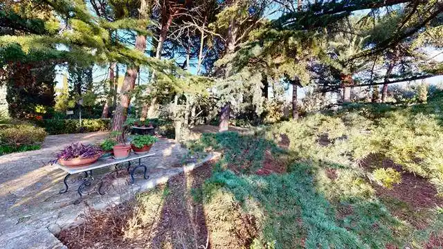 Villa in vendita a Bisceglie