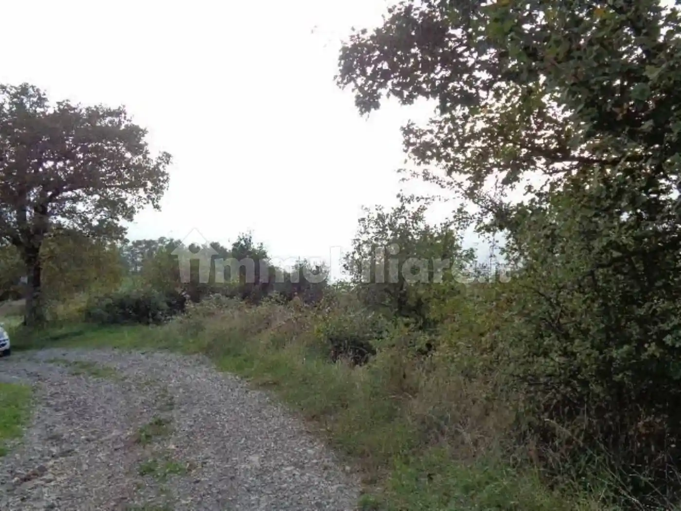 Rustico - Casale in vendita a Zocca