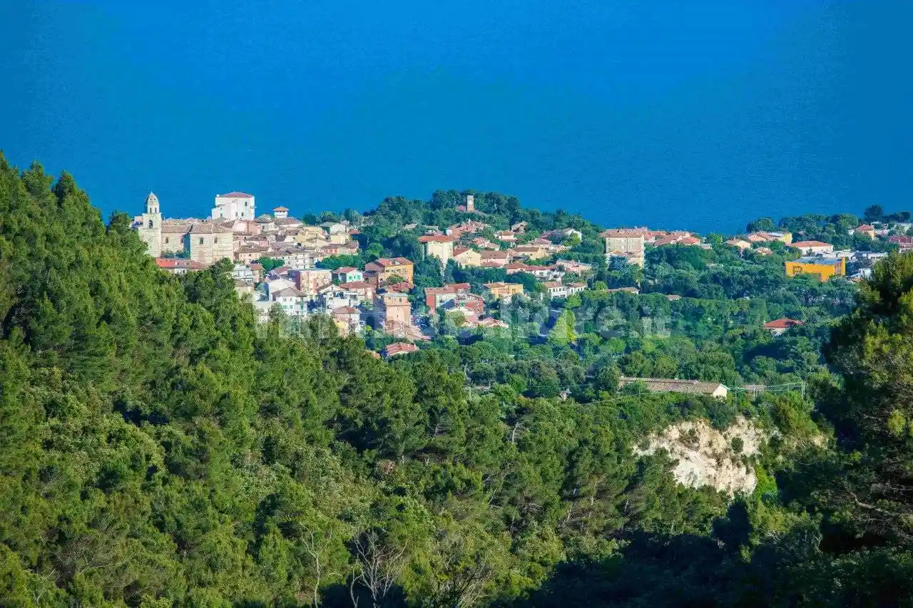 Villa unifamiliare Massignano, Poggio - Massignano, Ancona - foto 2