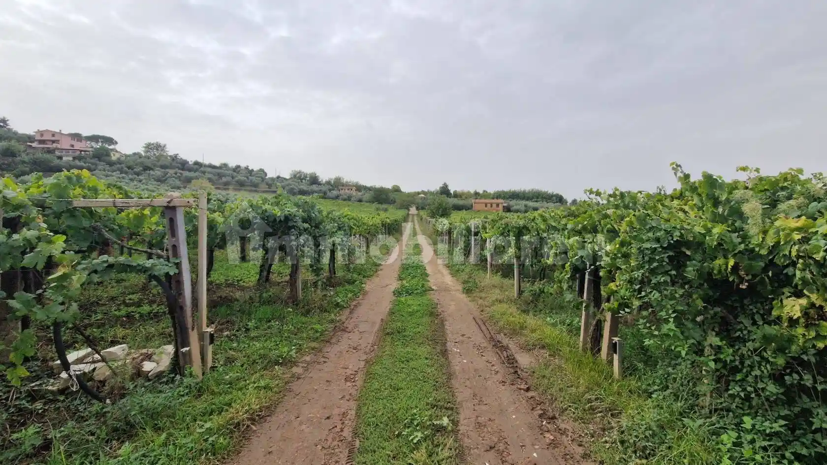 Rustico - Casale in vendita a Frascati