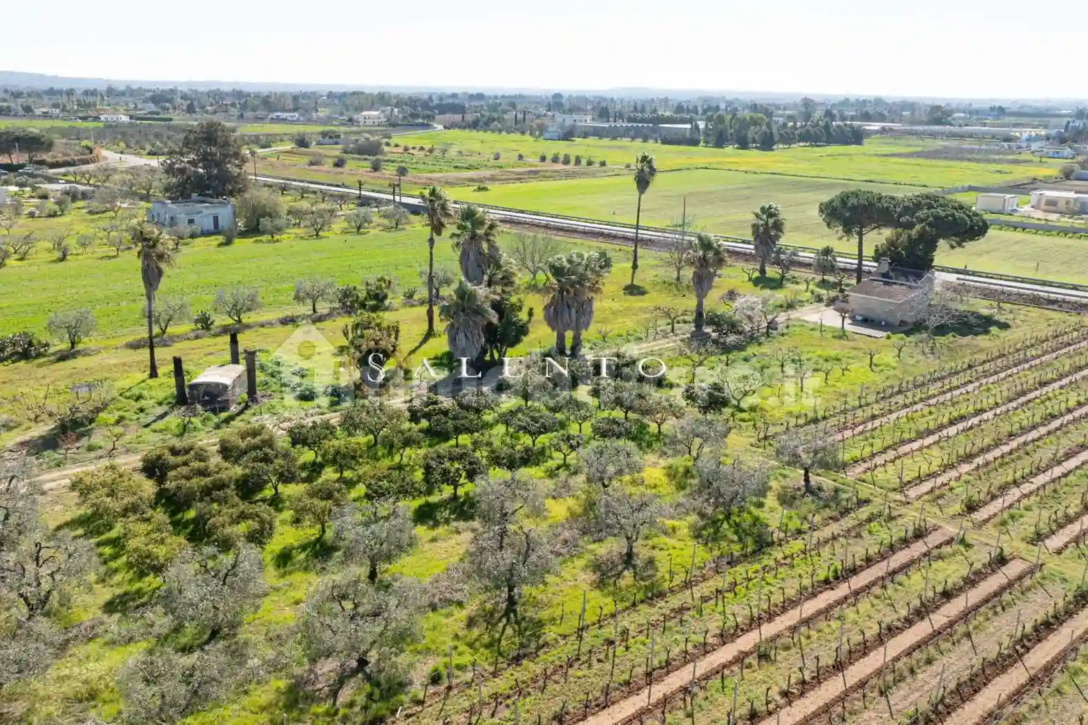 Rustico - Casale - foto 5