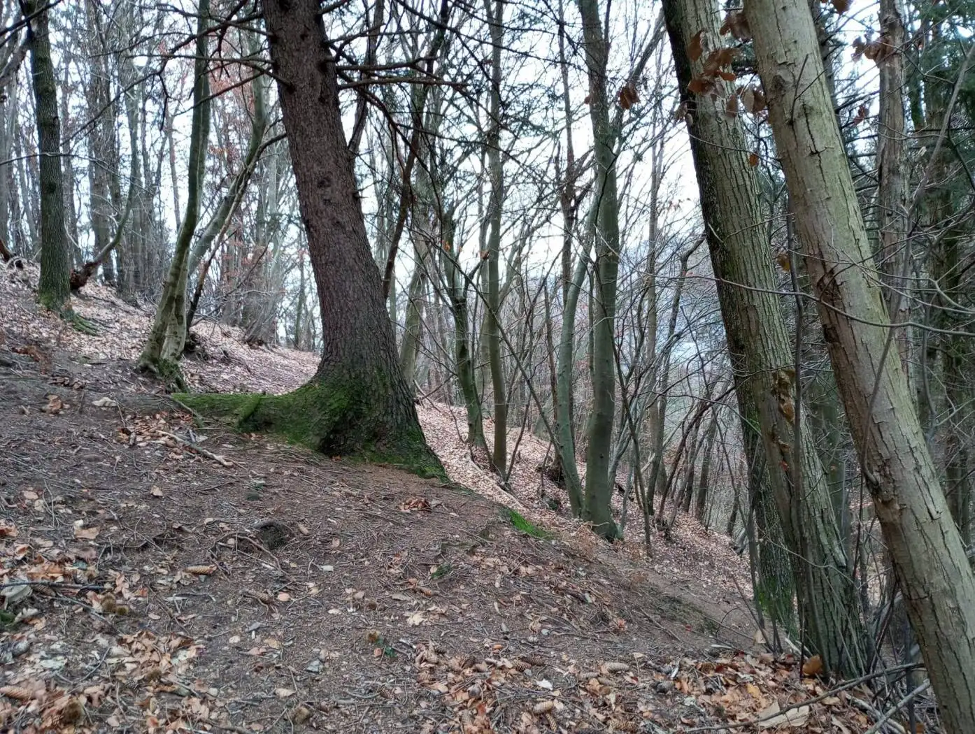 Villa in vendita a Bione