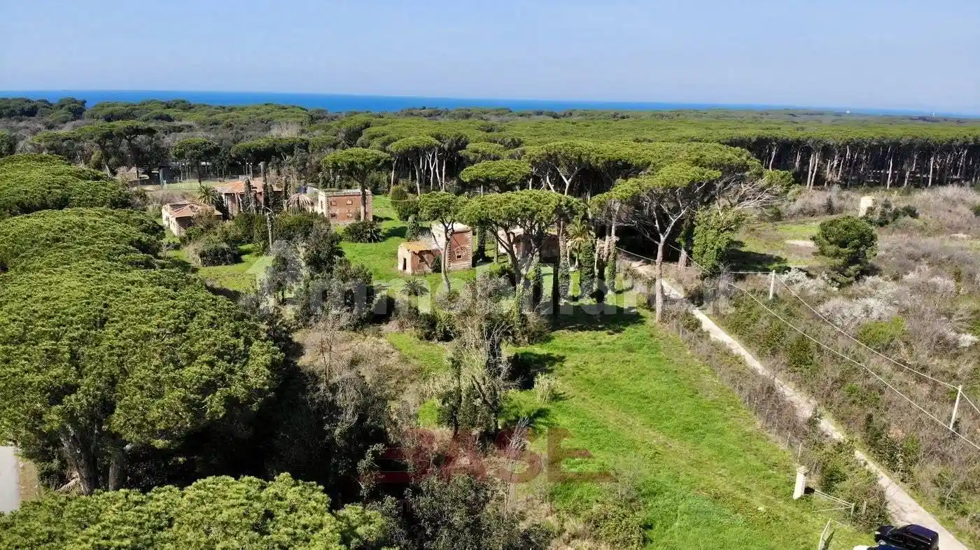 Rustico - Casale in vendita a Castagneto Carducci
