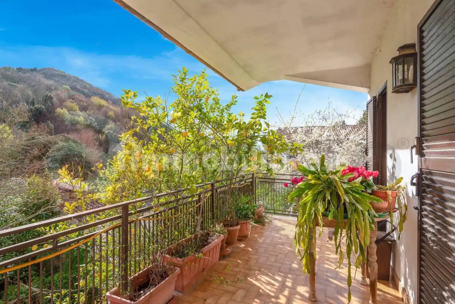 Terratetto unifamiliare via Ponte della Volpe 4, Falvaterra - foto 3