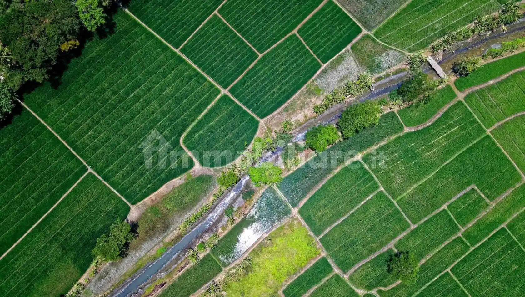 Palazzo - Edificio in Vendita - foto 4