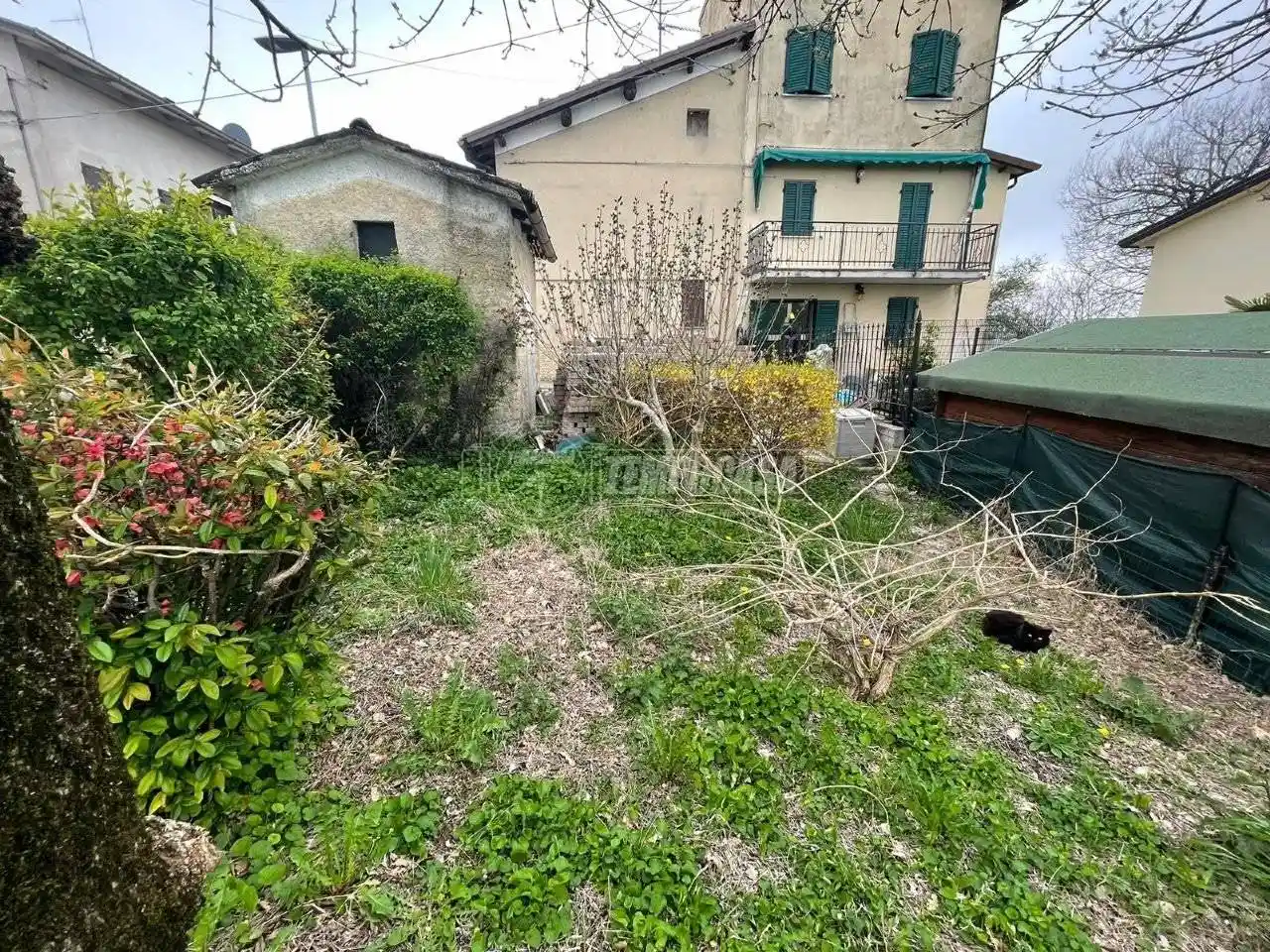 Casa indipendente in vendita a Baiso