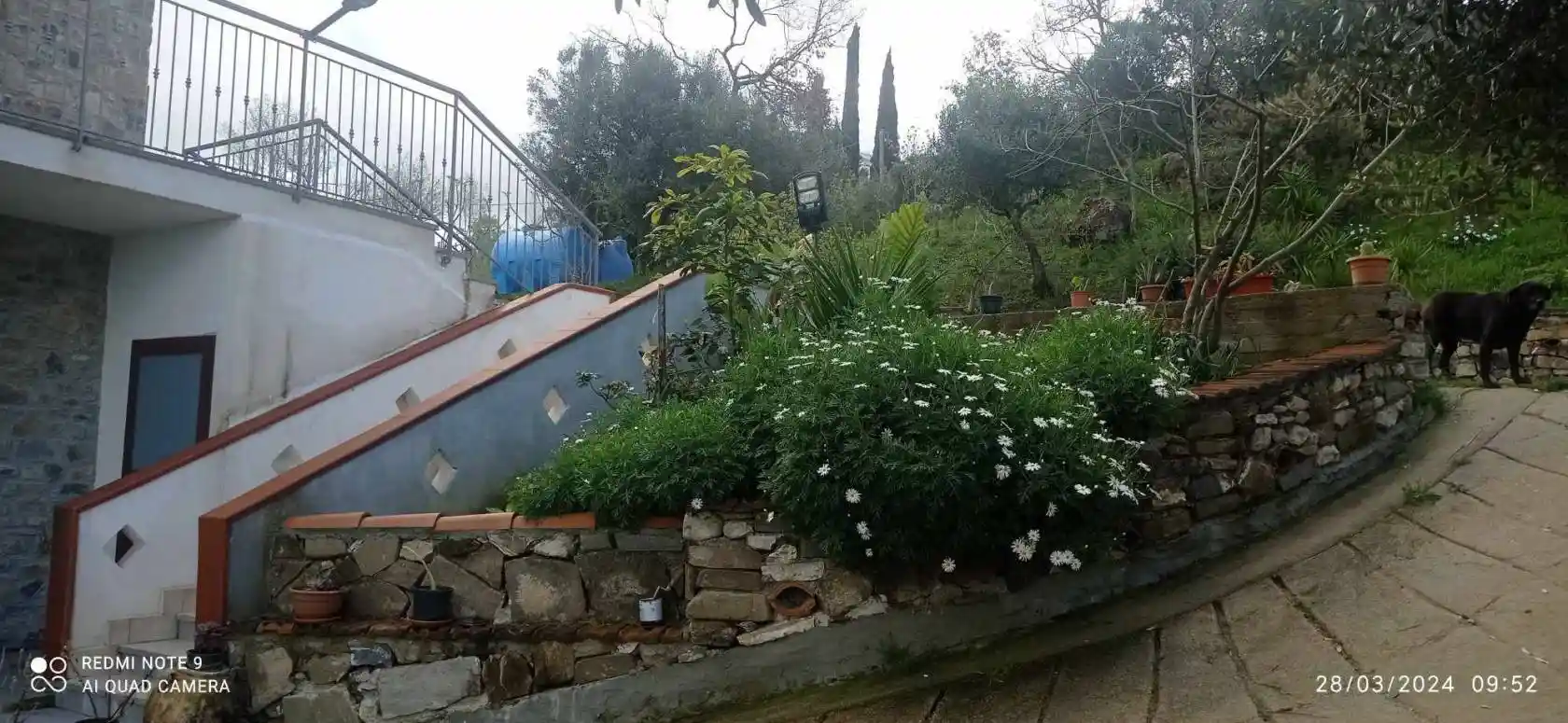 Palazzo - Edificio - foto 5