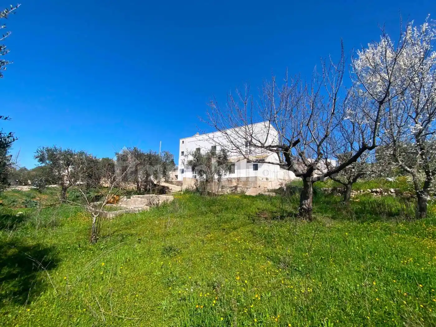 Rustico - Casale in vendita a Cisternino