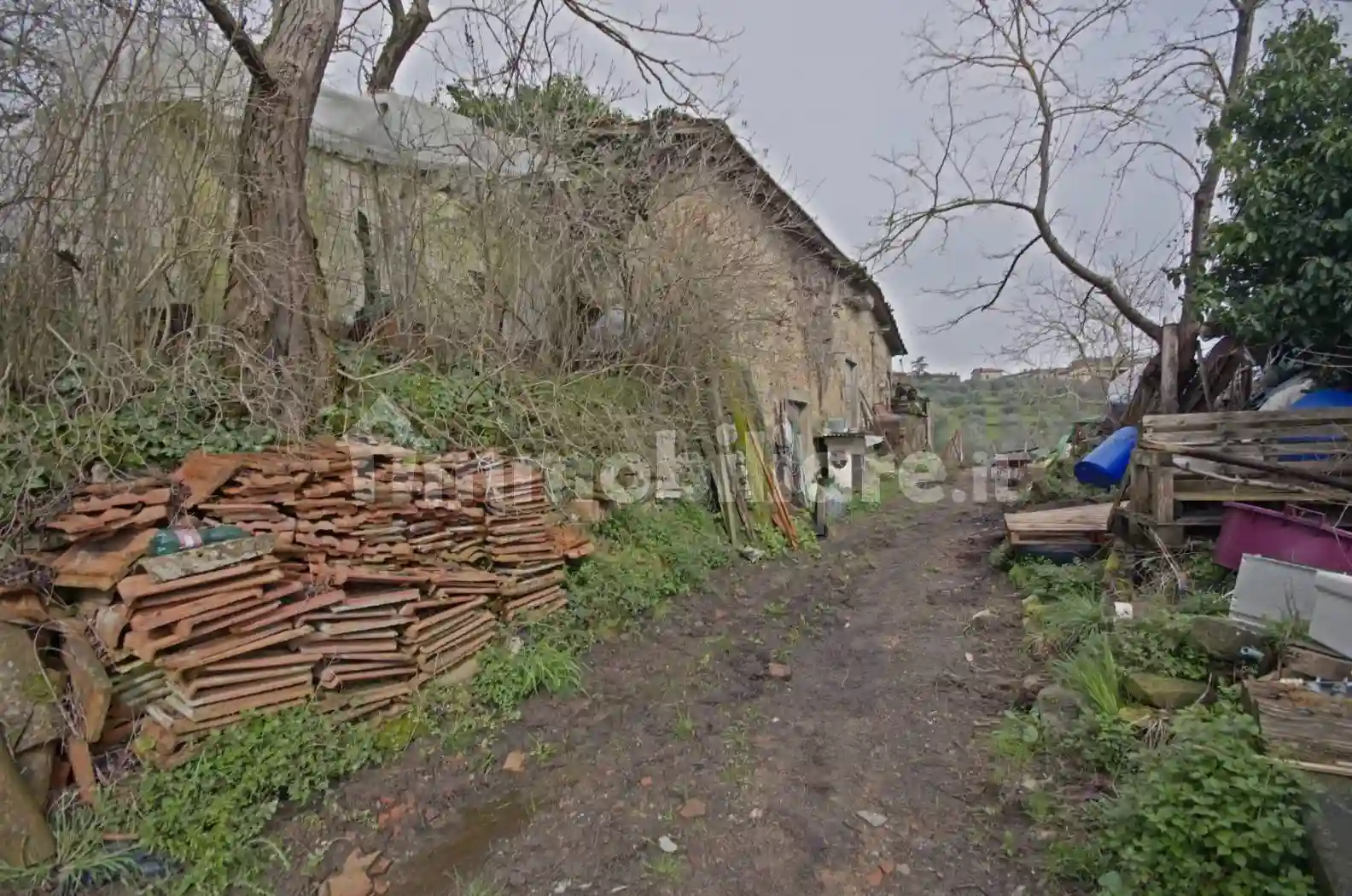 Rustico - Casale - foto 5