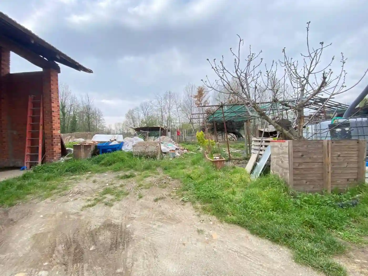 Rustico - Casale - foto 4