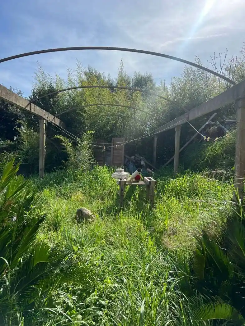 Villa unifamiliare, buono stato, 300 m², Muggiano - Porto Lotti, La Spezia - foto 2