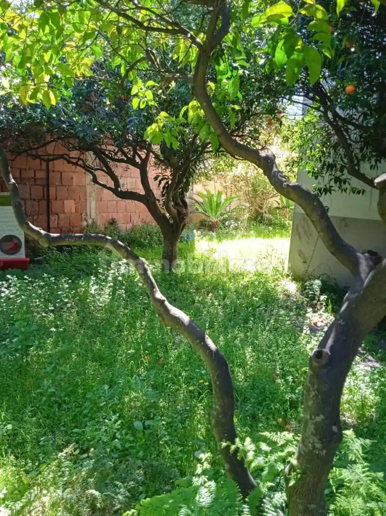 Trilocale Contrada Casa Bianca, Mortelle - Casa Bianca, Messina - foto 5