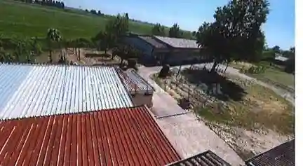 Palazzo - Stabile - foto 3