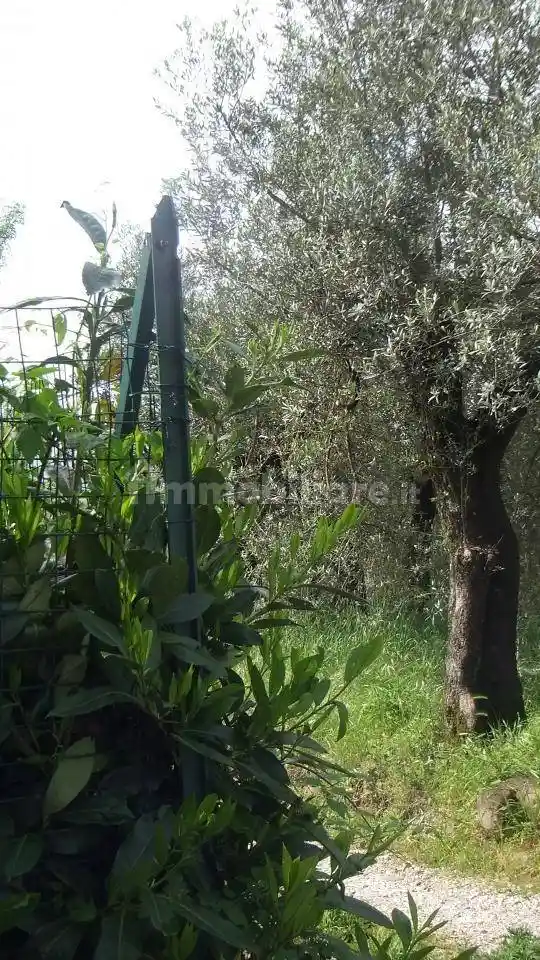 Bilocale ottimo stato, primo piano, Vinci - foto 3