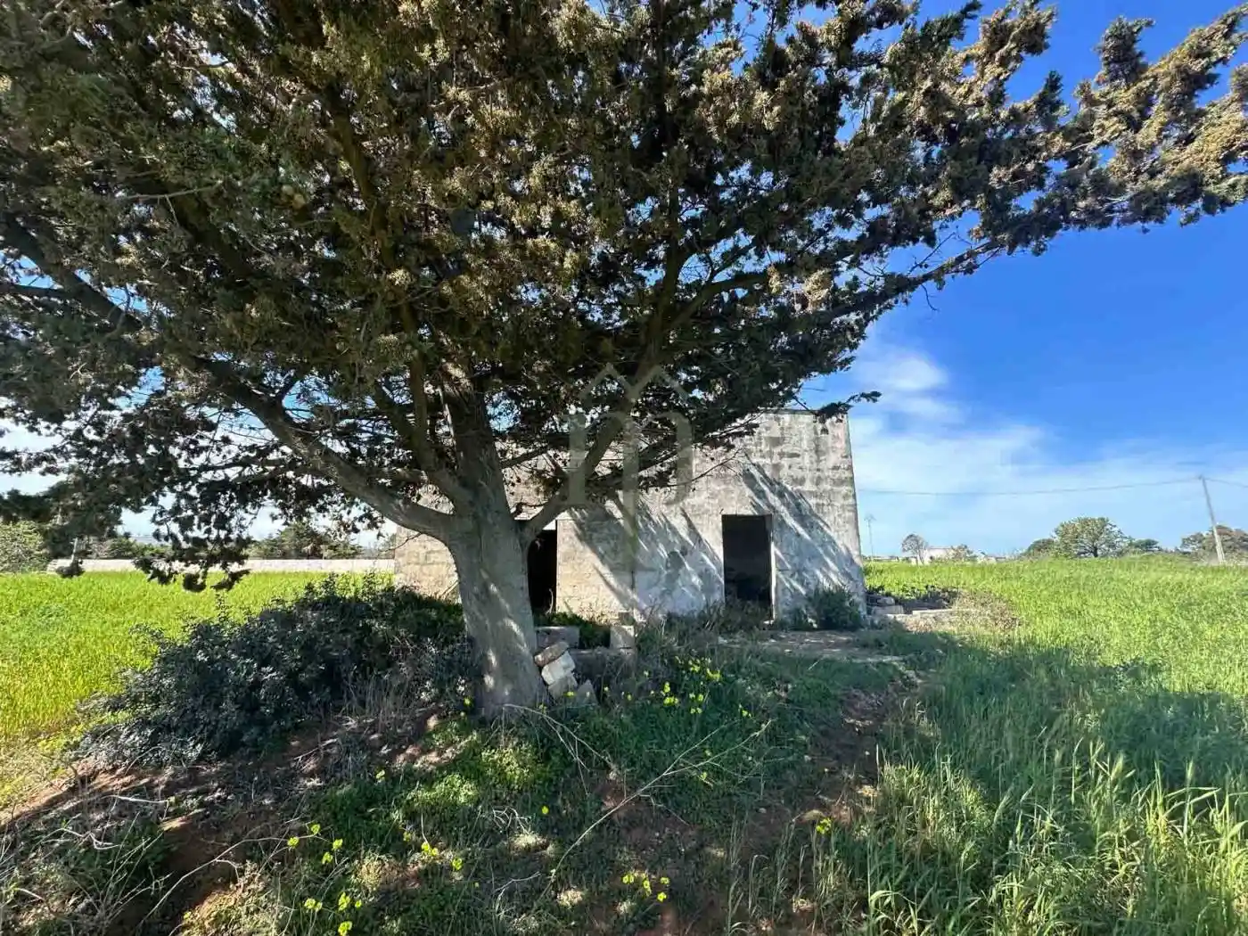 Rustico - Casale in vendita a Carovigno