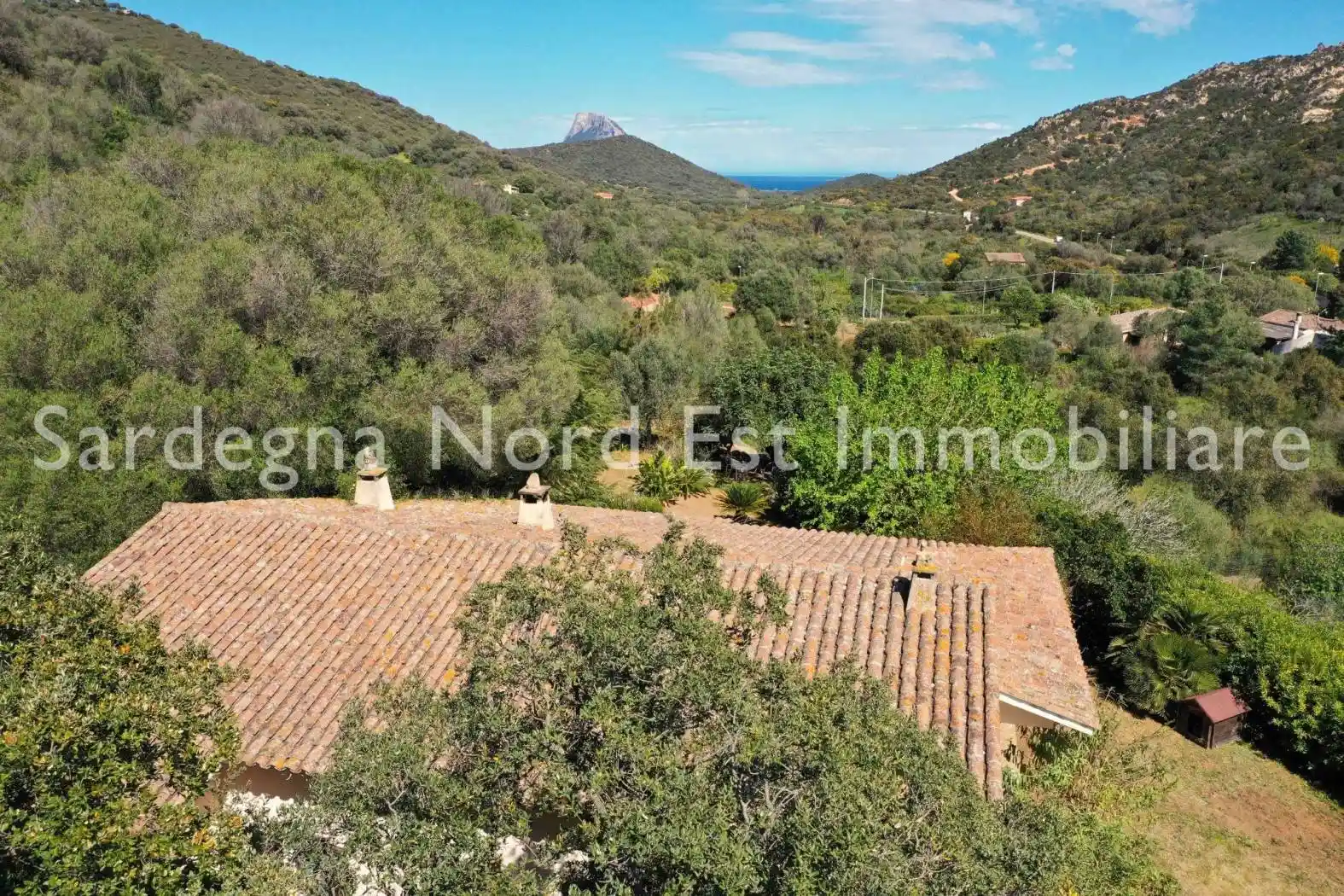 Villa in vendita a Loiri Porto San Paolo