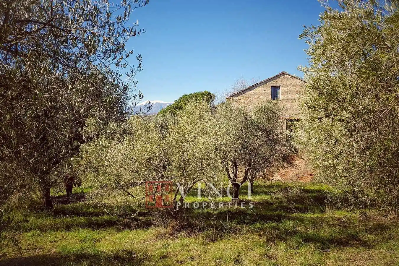 Rustico - Casale in vendita a Castorano