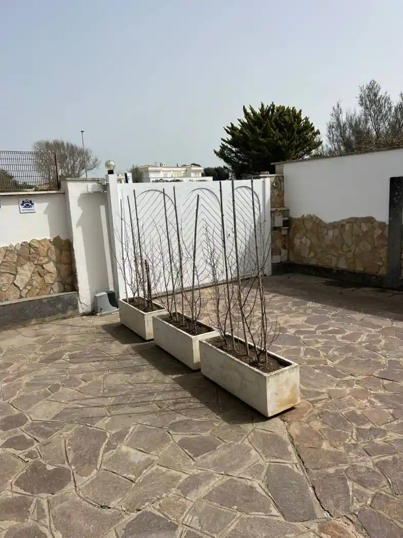 Villa in affitto a Fiumicino