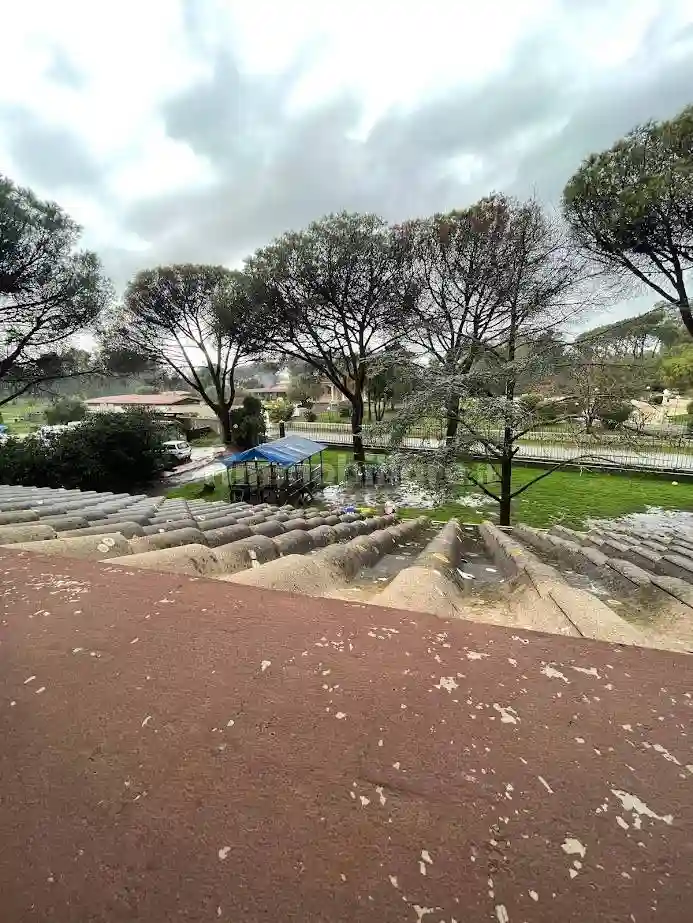 Palazzo - Edificio - foto 5