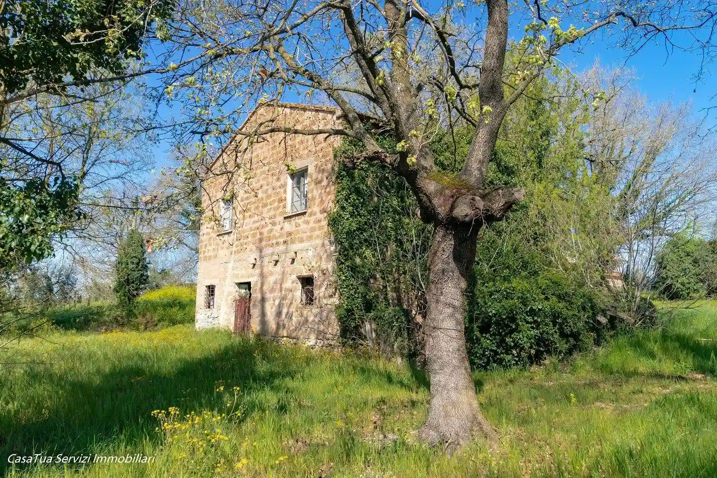 Rustico - Casale - foto 3