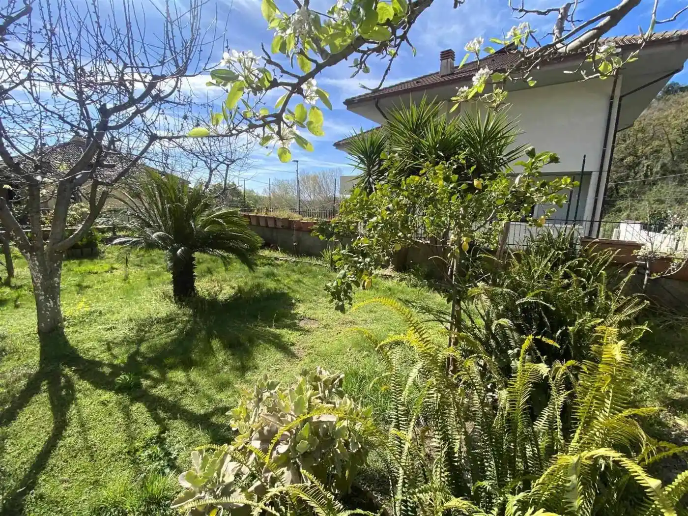 Villa unifamiliare, nuova, 310 m², Gimigliano - foto 2