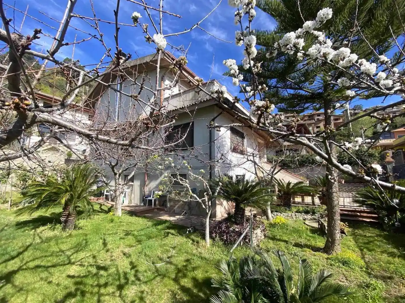 Villa unifamiliare, nuova, 310 m², Gimigliano - foto 3