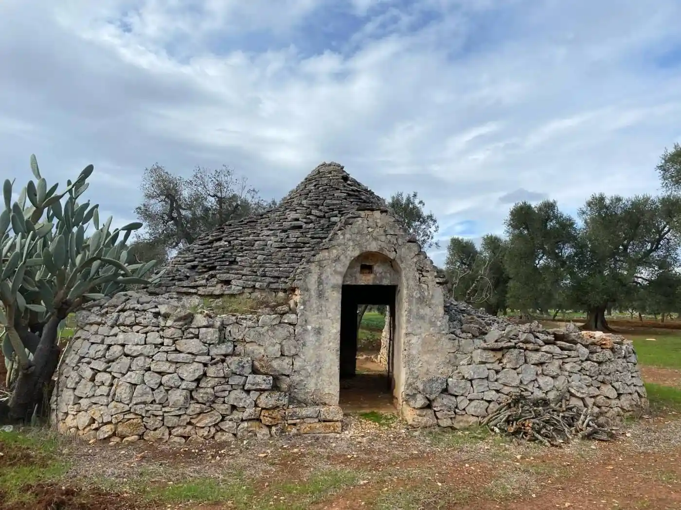 Rustico - Casale in vendita a San Michele Salentino