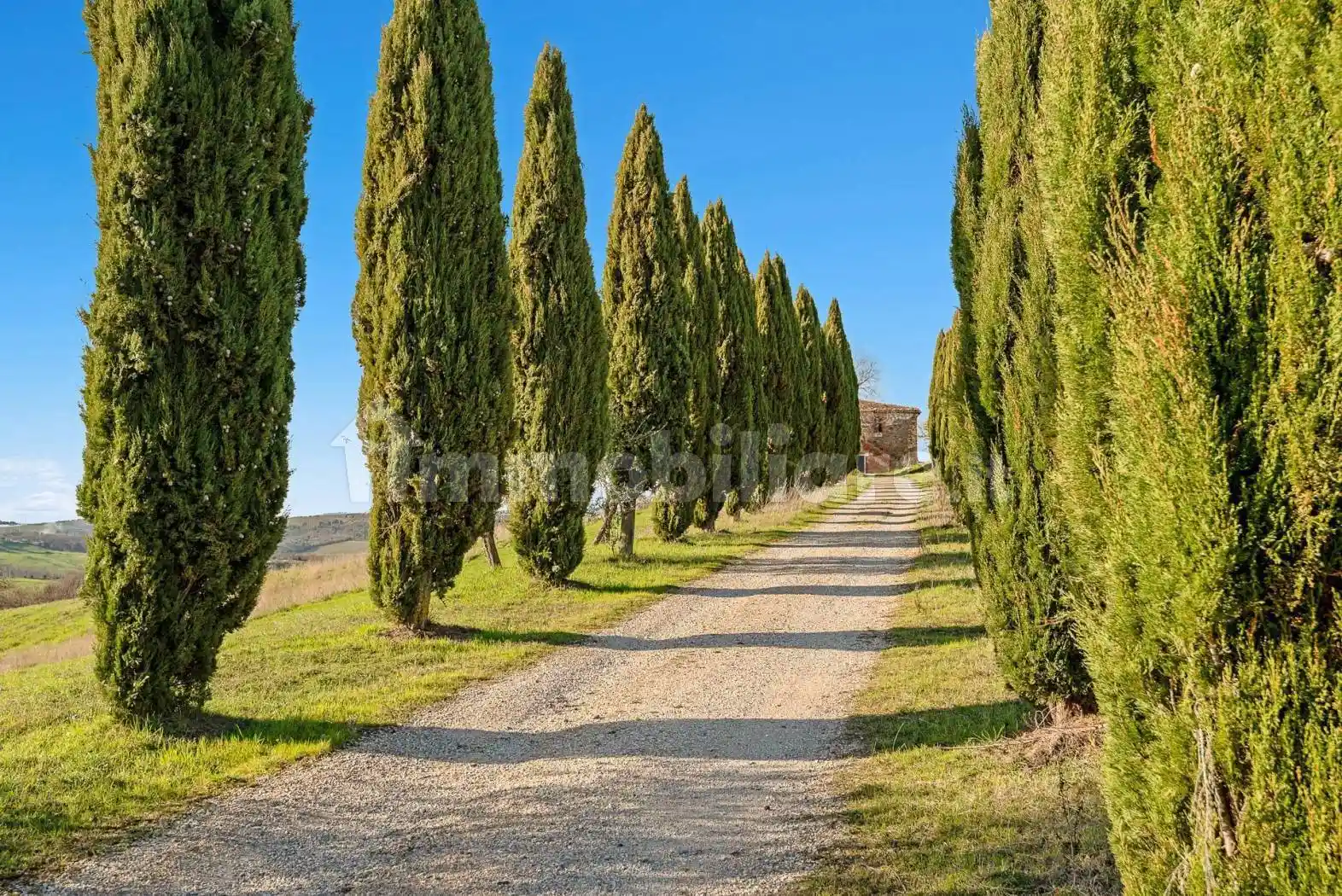 Rustico - Casale in vendita a Trequanda
