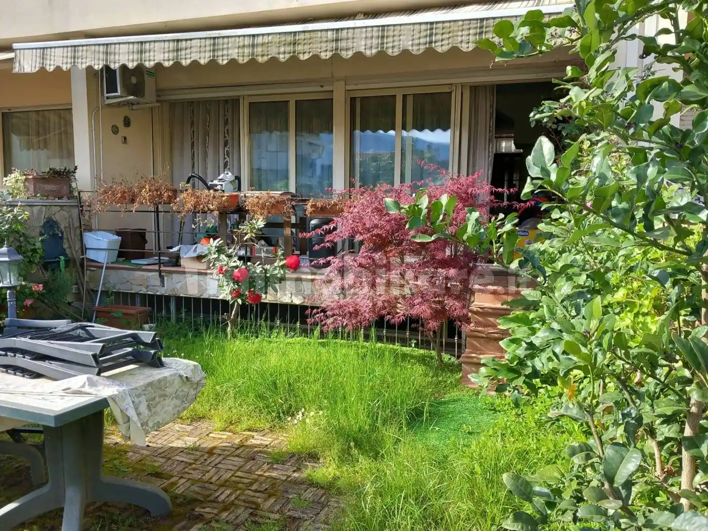 Casa indipendente in vendita a Luni