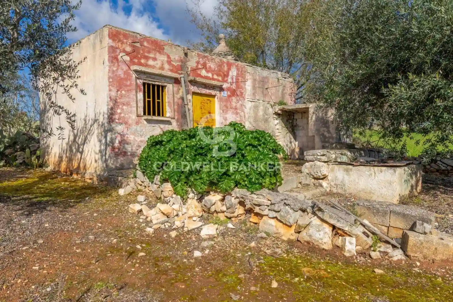 Rustico - Casale - foto 3