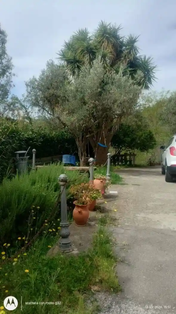 Villa unifamiliare via corrado alvaro, Catanzaro - foto 3