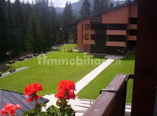 Appartamento in vendita a Pinzolo