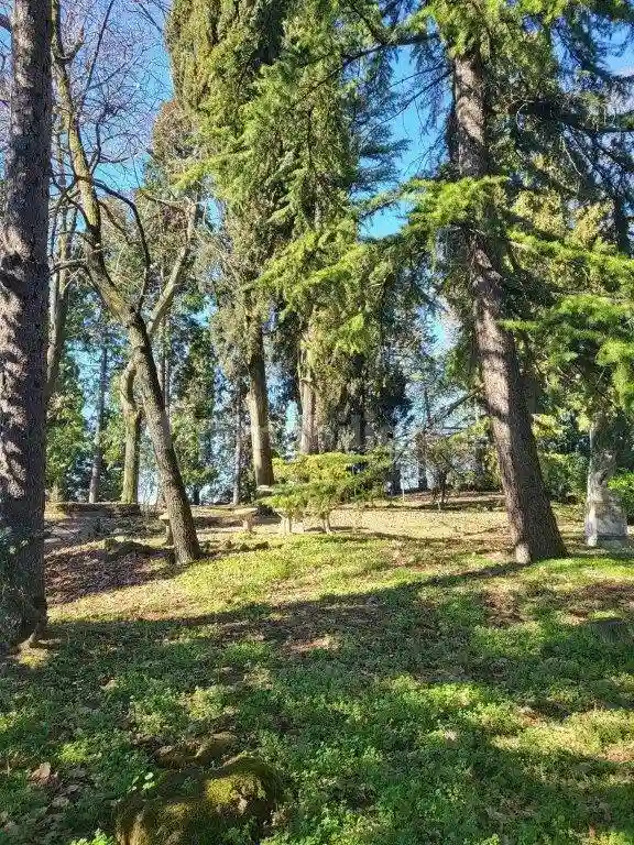 Palazzo - Edificio - foto 5