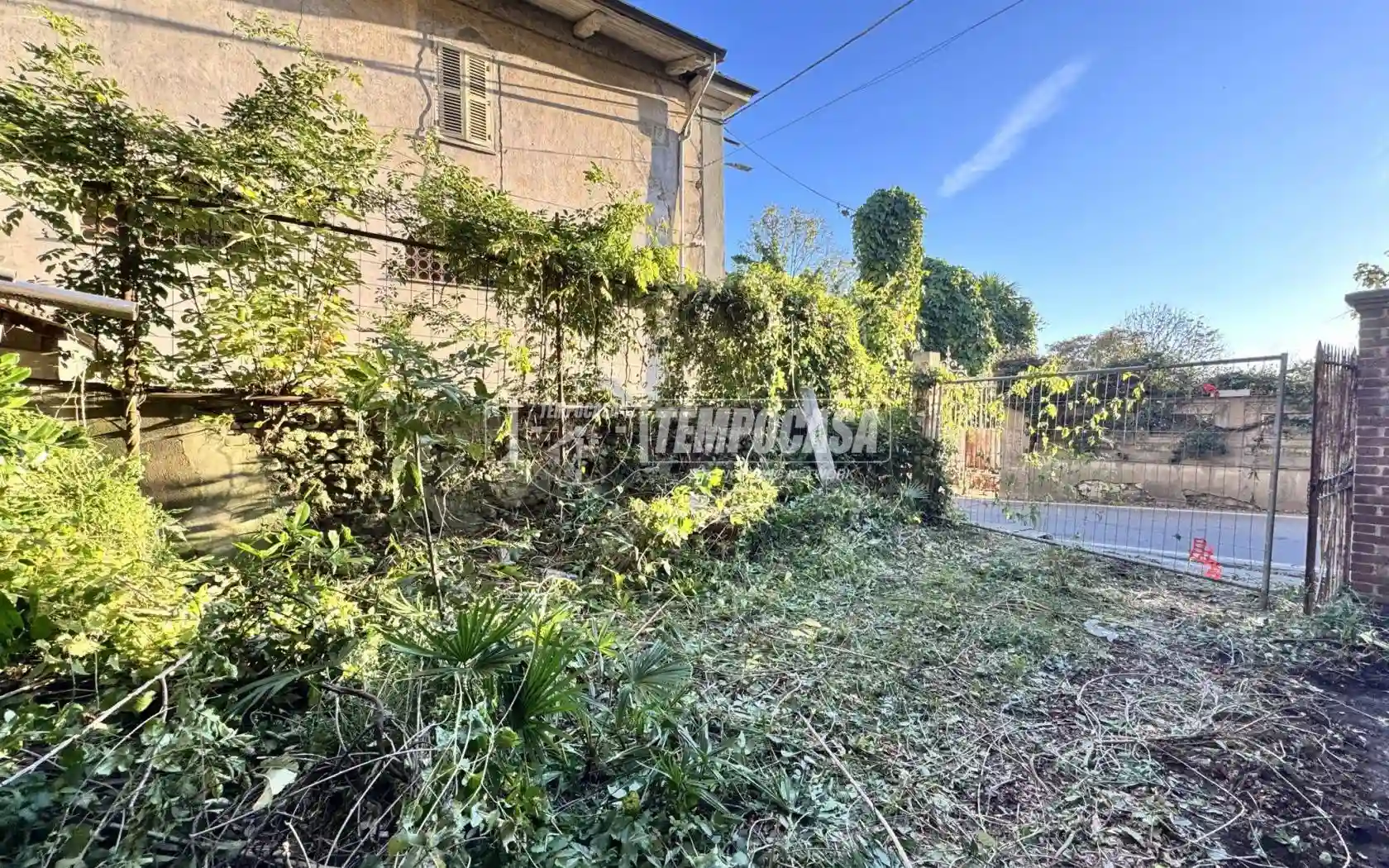 Palazzo - Edificio - foto 5