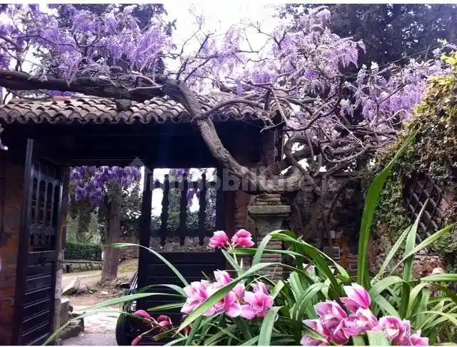 Villa unifamiliare via Appia Antica, Appia Pignatelli, Roma - foto 2