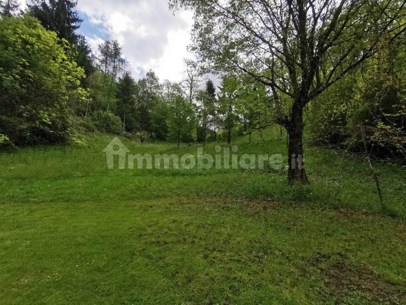 Rustico - Casale in vendita a Zandobbio