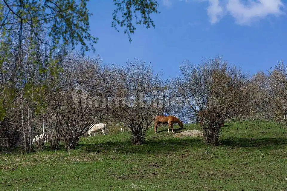 Cascina via Sommi, Zandobbio - foto 3