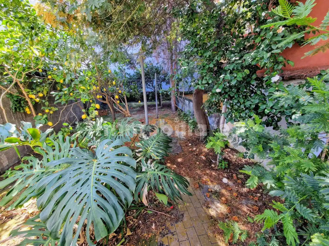 Casa indipendente in vendita a Giarre