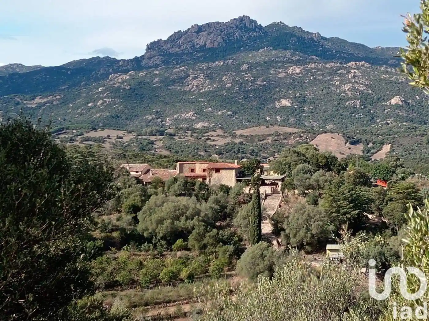 Palazzo - Edificio in Vendita - foto 4