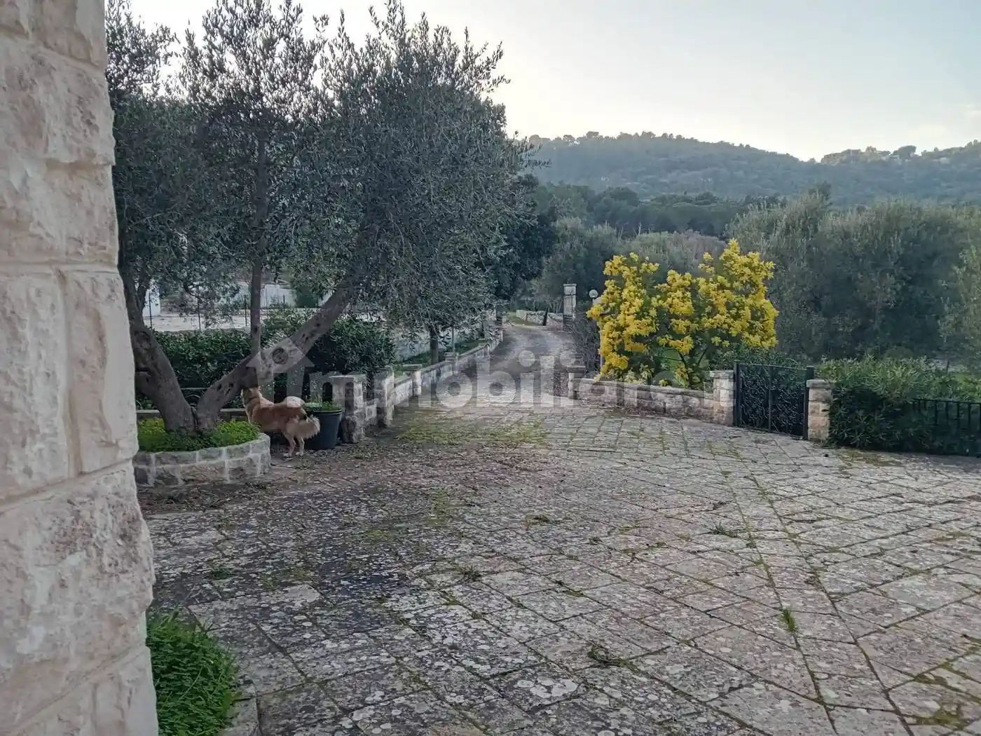 Villa in affitto a Ostuni