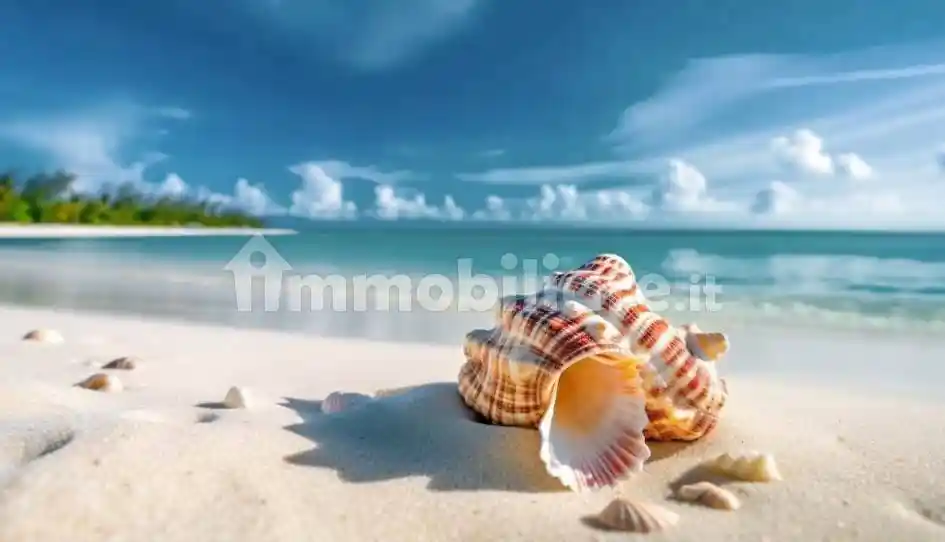 Appartamento in vendita a Pisa