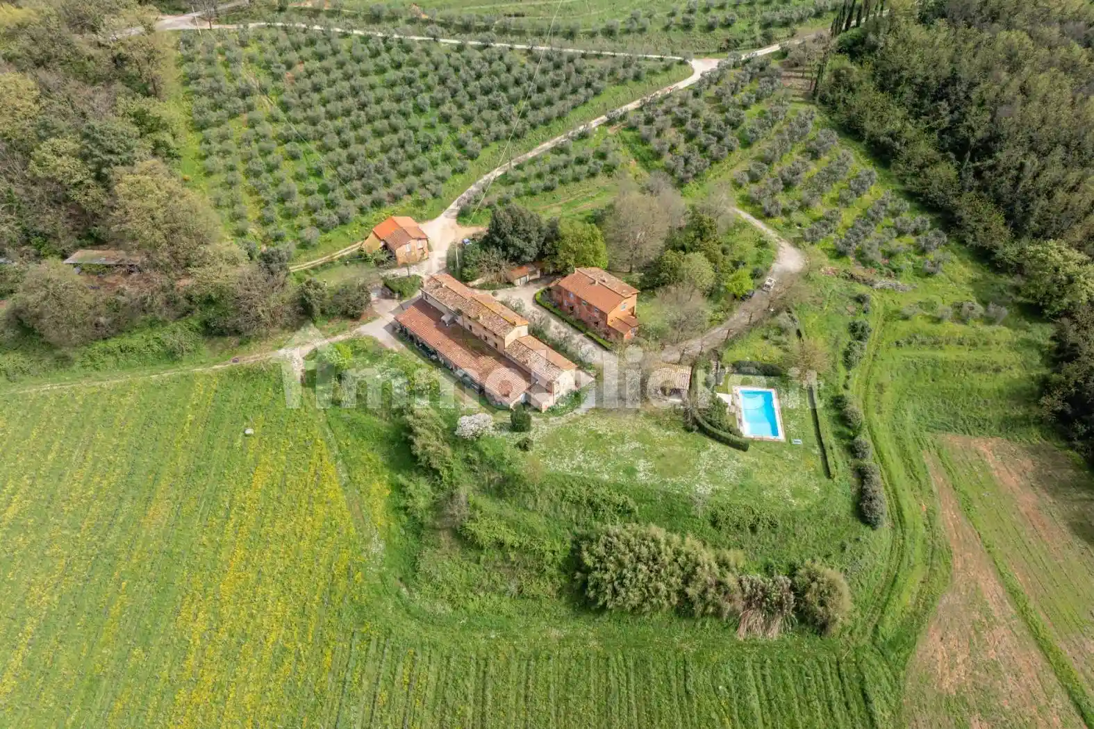 Rustico - Casale in vendita a Capannori