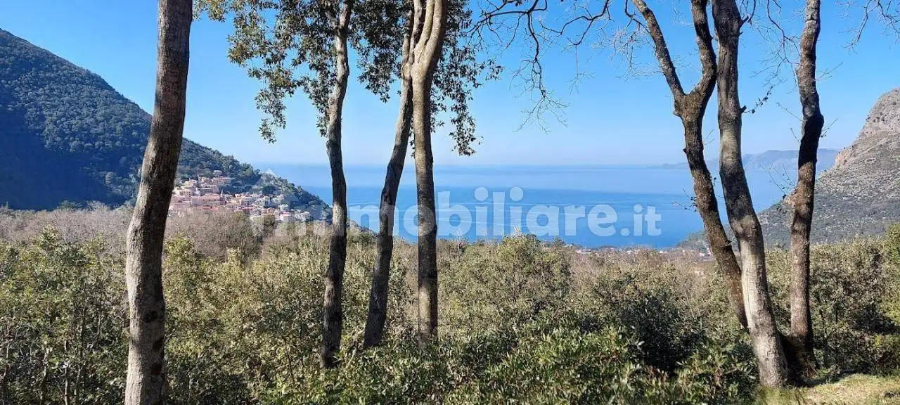 Rustico - Casale in vendita a Maratea