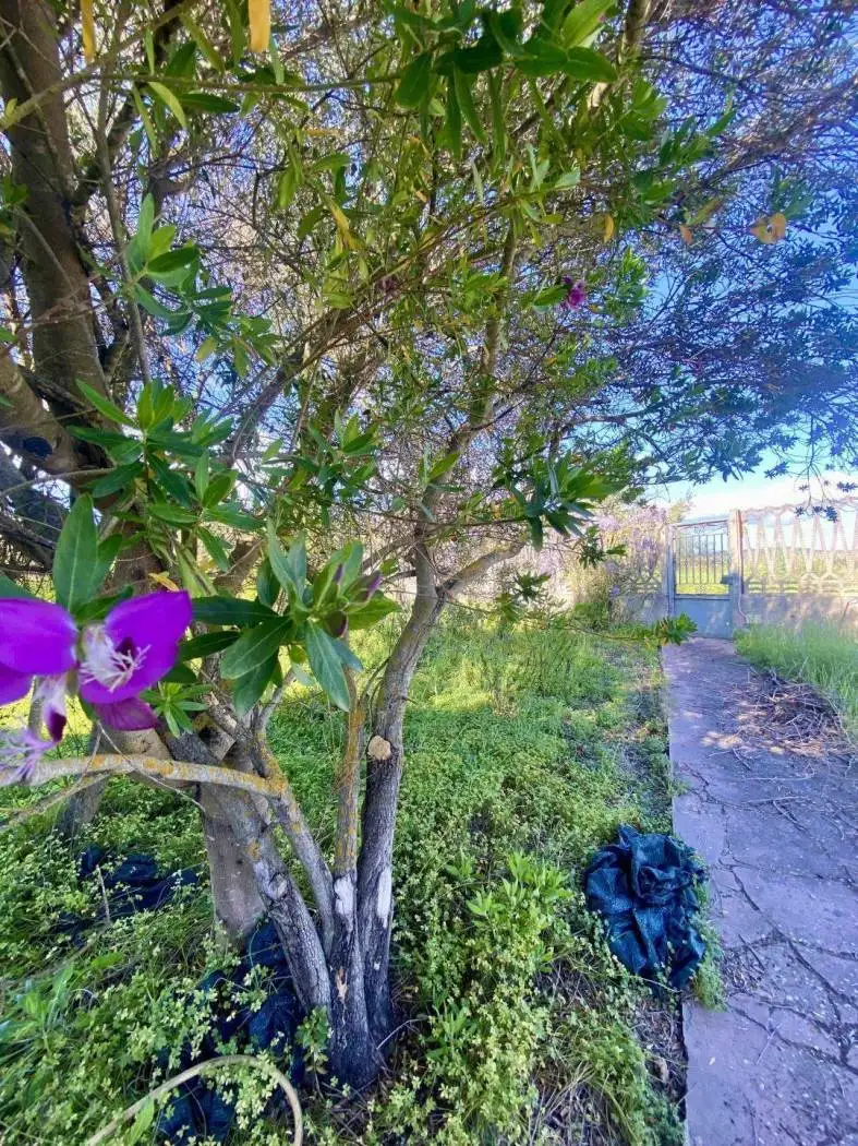 Casa indipendente in vendita a Narcao