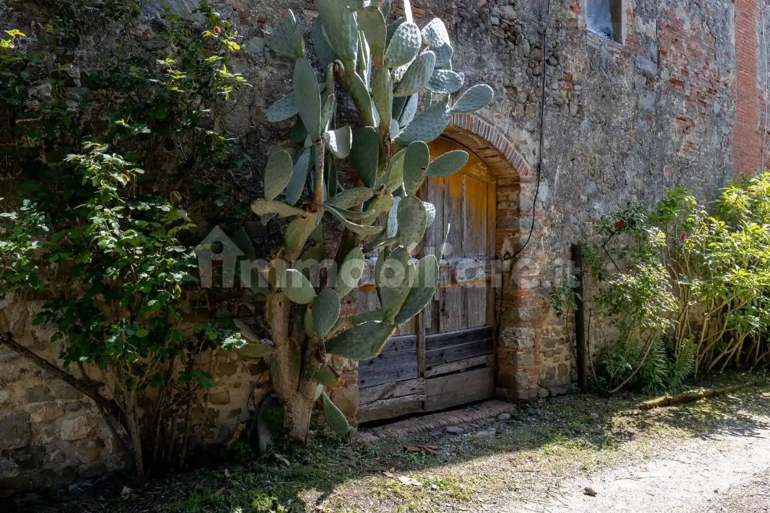 Rustico - Casale in vendita a Capannori