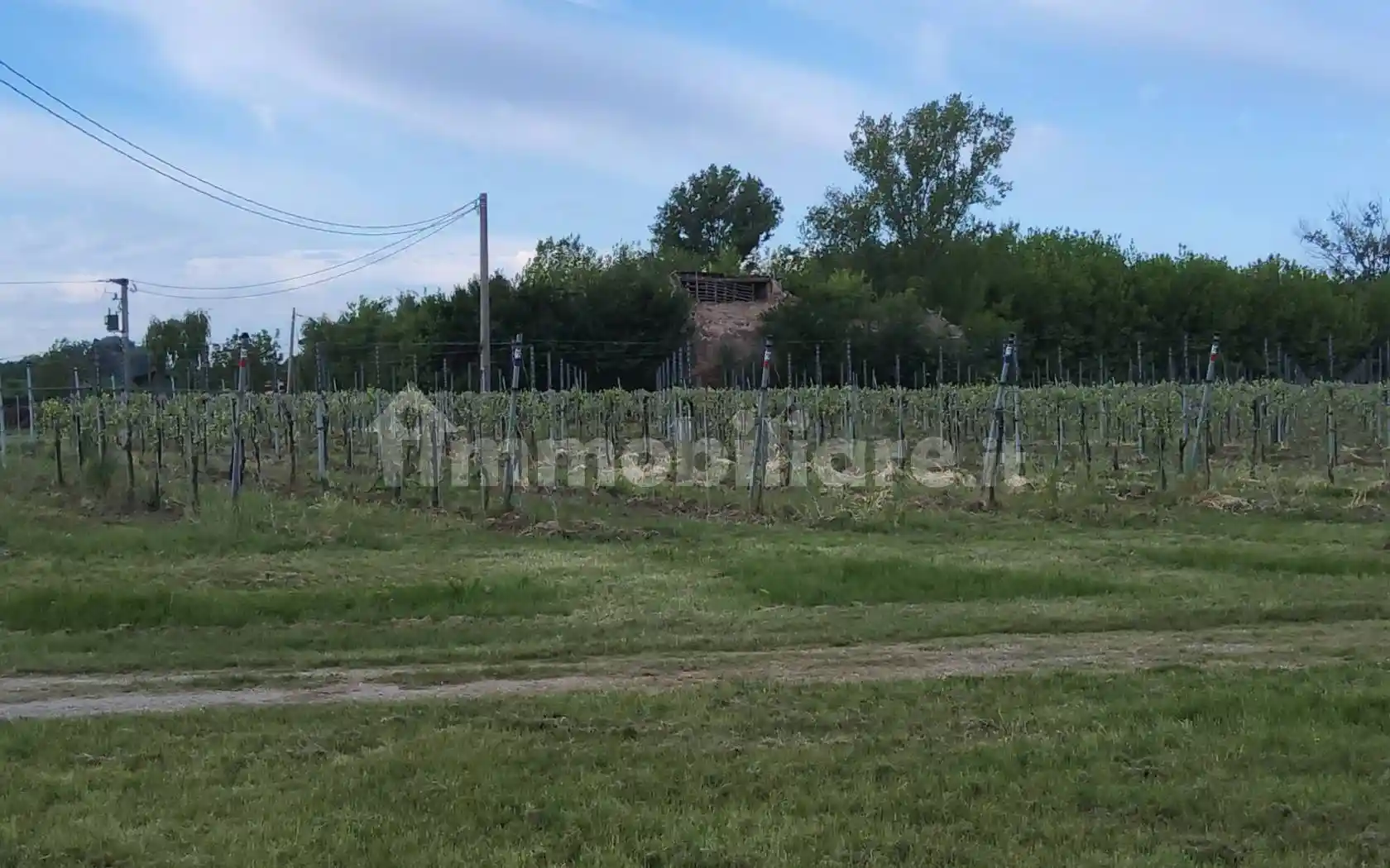 Rustico - Casale in vendita a San Prospero