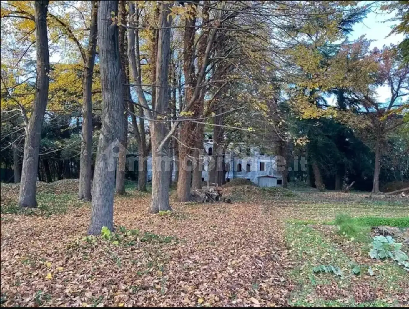 Rustico - Casale in vendita a Mogliano Veneto