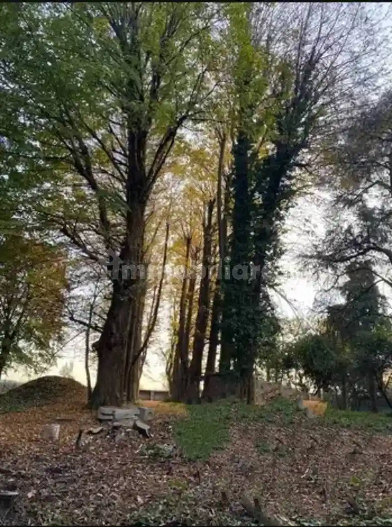 Casale via Bonisiolo, Zona Industriale SPZ, Mogliano Veneto - foto 3